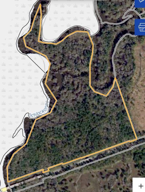 Tiny photo for XXXX FAIRBANKS FERRY Road, Tallahassee, FL 32312 (MLS # 400400)