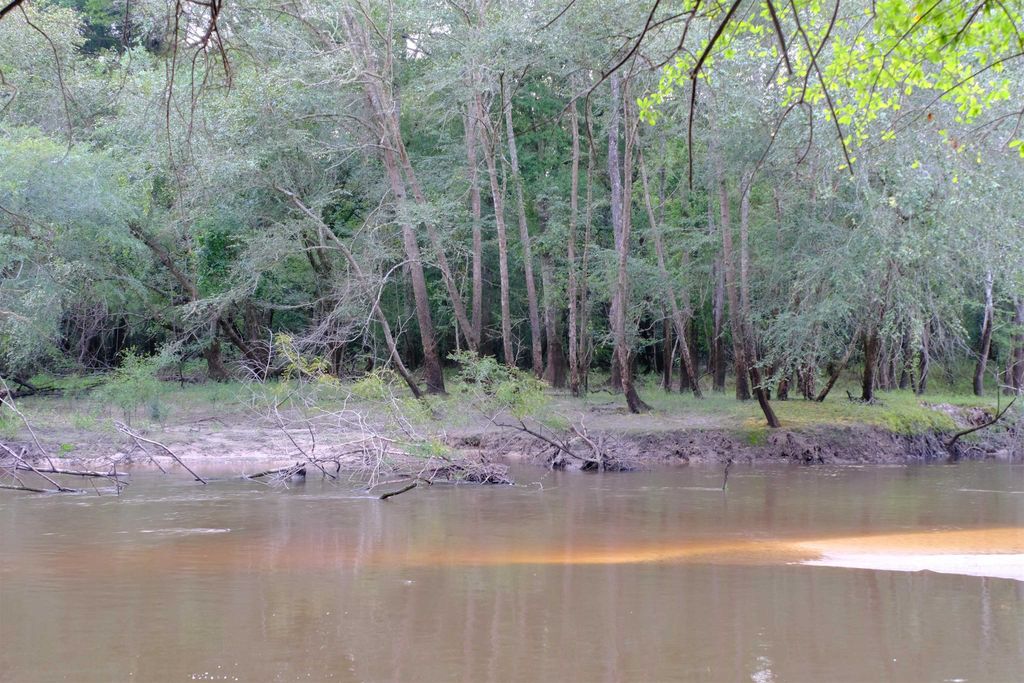 Photo of XXXX FAIRBANKS FERRY Road, Tallahassee, FL 32312 (MLS # 400400)