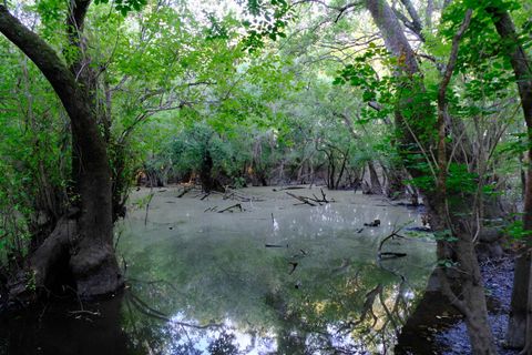 Tiny photo for XXXX FAIRBANKS FERRY Road, Tallahassee, FL 32312 (MLS # 400400)