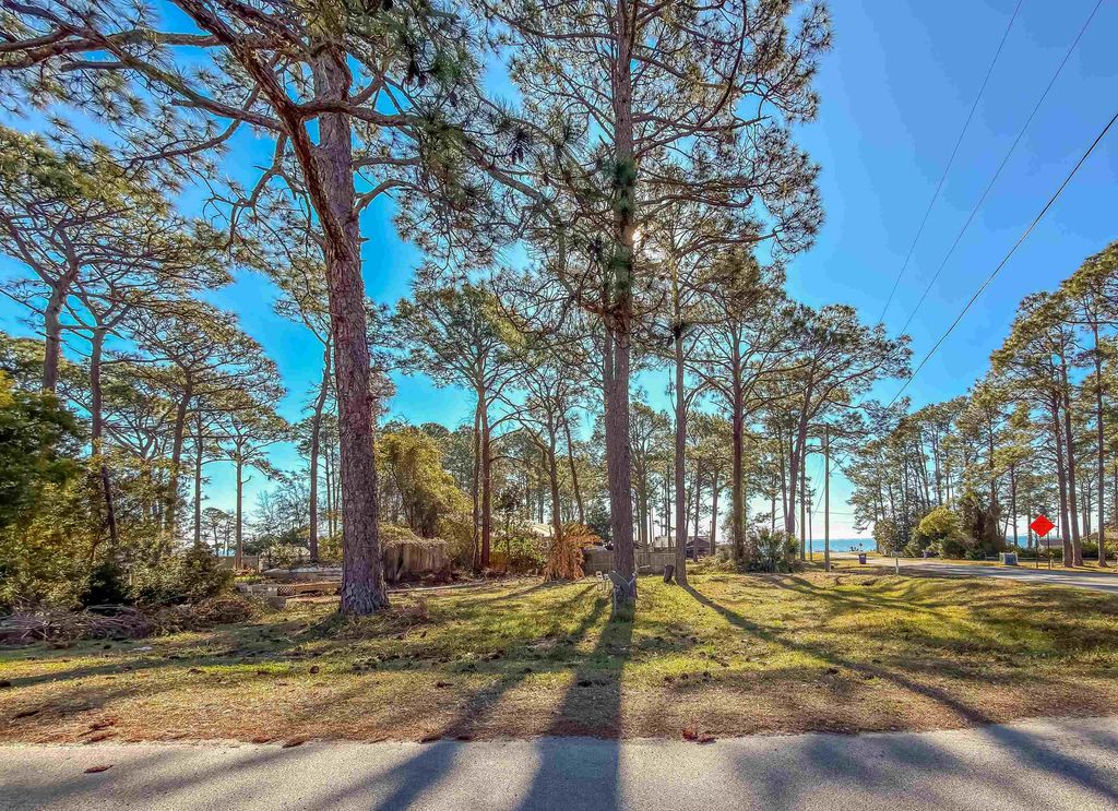 Photo of 14th 6th Street, East Point, FL 32328 (MLS # 395613)