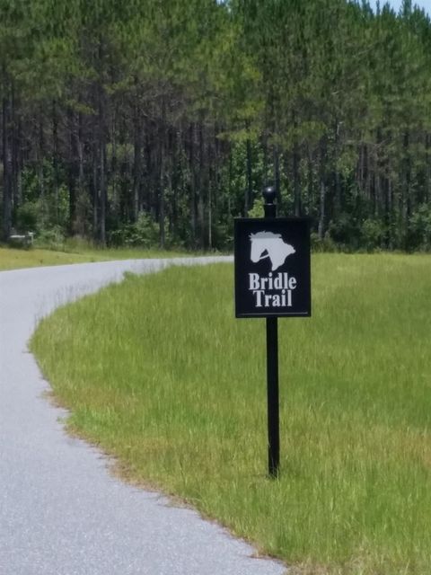 Tiny photo for Lot C-11 Painted Post Lane, Woodville, FL 32305 (MLS # 391805)