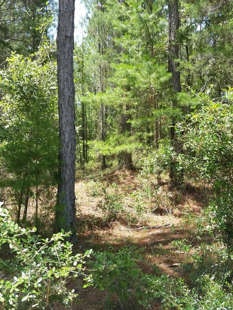 Tiny photo for Lot C-11 Painted Post Lane, Woodville, FL 32305 (MLS # 391805)