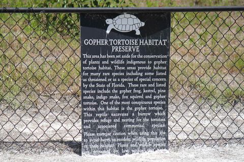 Tiny photo for Lot C-11 Painted Post Lane, Woodville, FL 32305 (MLS # 391805)