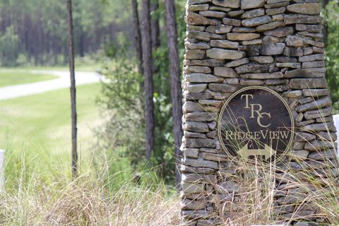 Tiny photo for Lot C-11 Painted Post Lane, Woodville, FL 32305 (MLS # 391805)