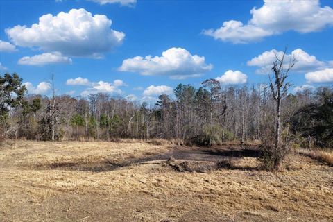 Tiny photo for 1914 SW JIm Clark Rd Rd, Madison, FL 32340 (MLS # 396845)
