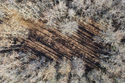 Tiny photo for 1914 SW JIm Clark Rd Rd, Madison, FL 32340 (MLS # 396845)