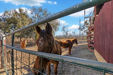 Tiny photo for 1914 SW JIm Clark Rd Rd, Madison, FL 32340 (MLS # 396845)