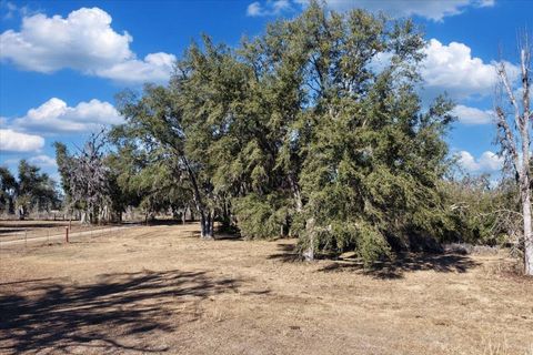 Tiny photo for 1914 SW JIm Clark Rd Rd, Madison, FL 32340 (MLS # 396845)