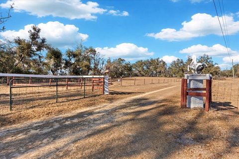 Tiny photo for 1914 SW JIm Clark Rd Rd, Madison, FL 32340 (MLS # 396845)