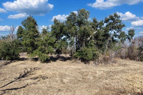 Tiny photo for 1914 SW JIm Clark Rd Rd, Madison, FL 32340 (MLS # 396845)