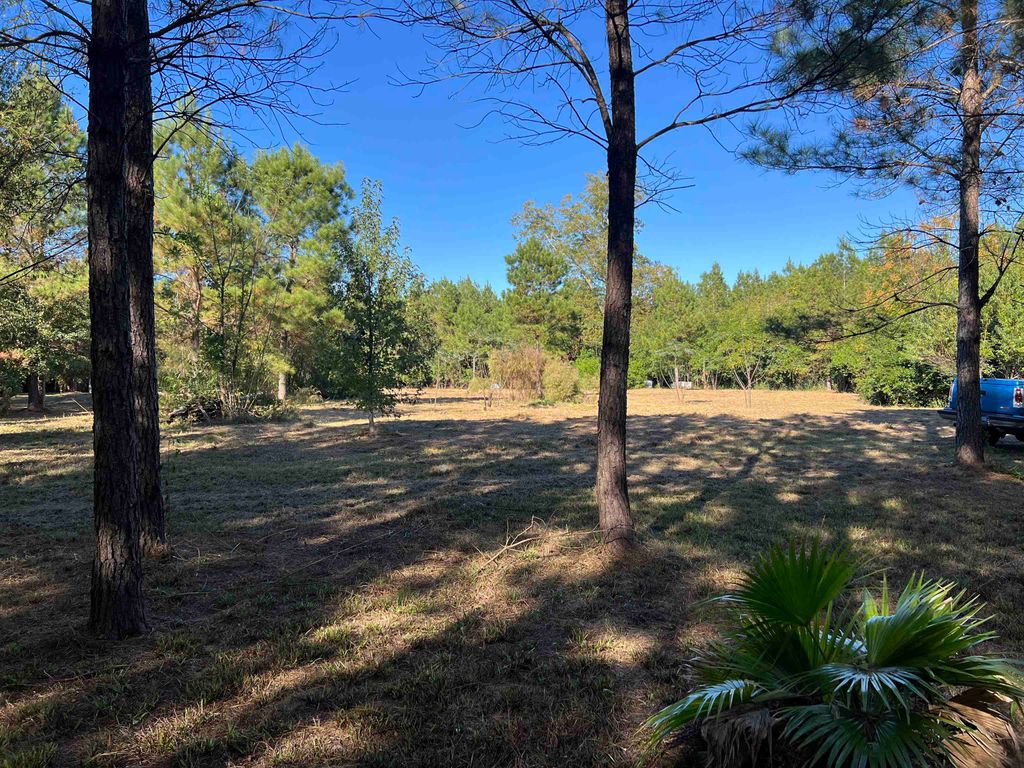 Photo of 7585 Sycamore Road, Greensboro, FL 32330 (MLS # 393632)