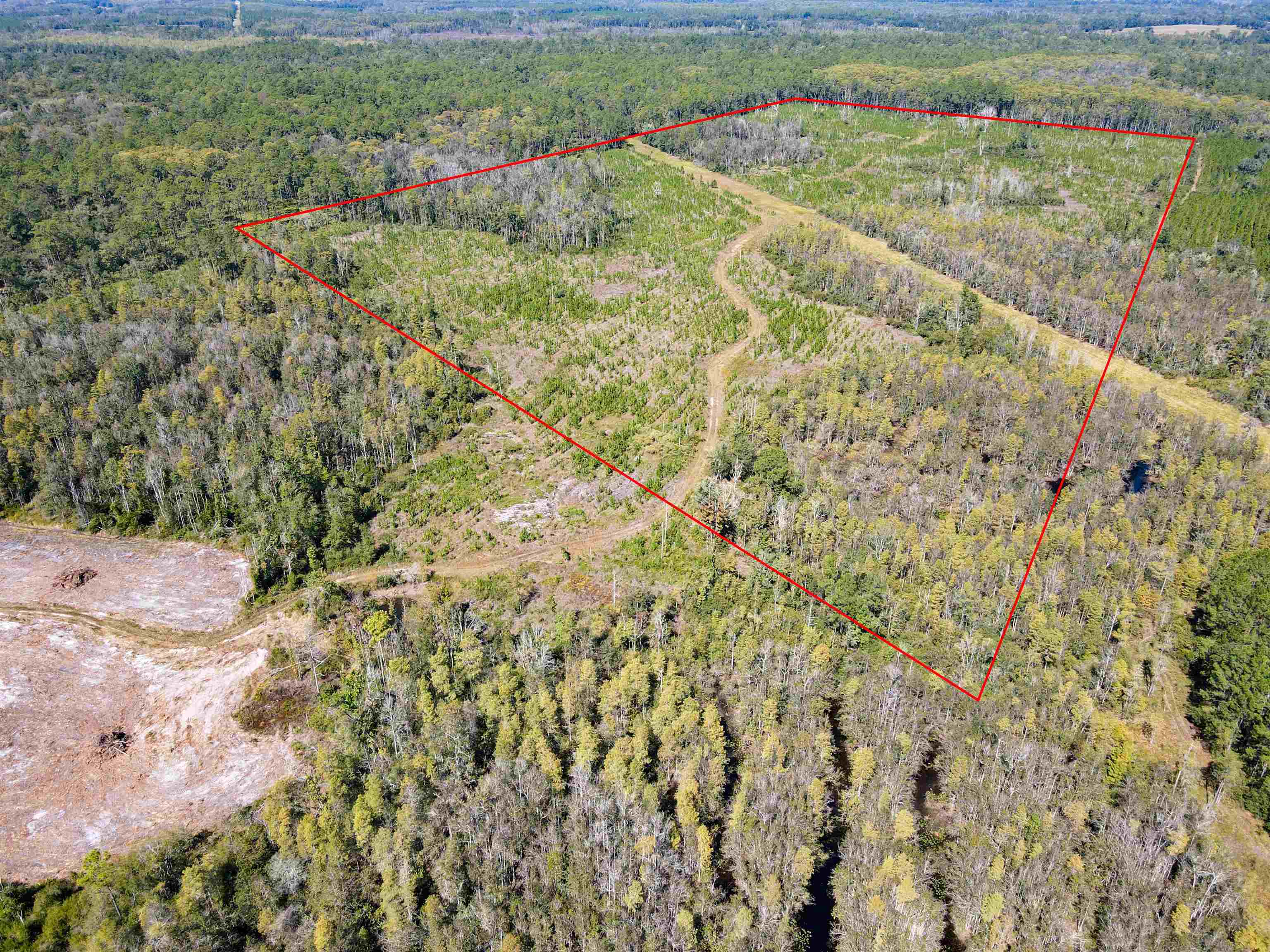 000 SW Mt.Gilead Road