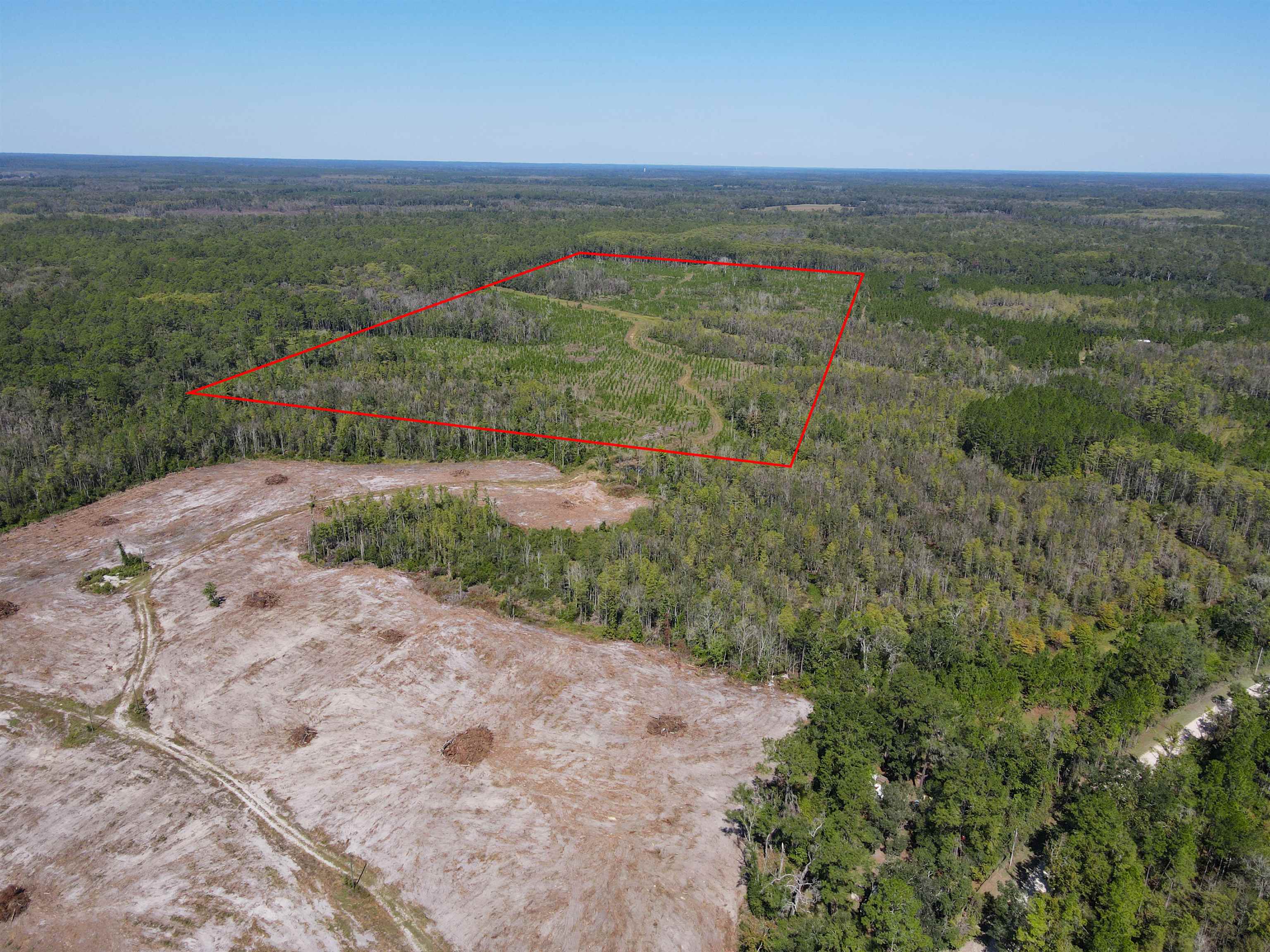 000 SW Mt.Gilead Road