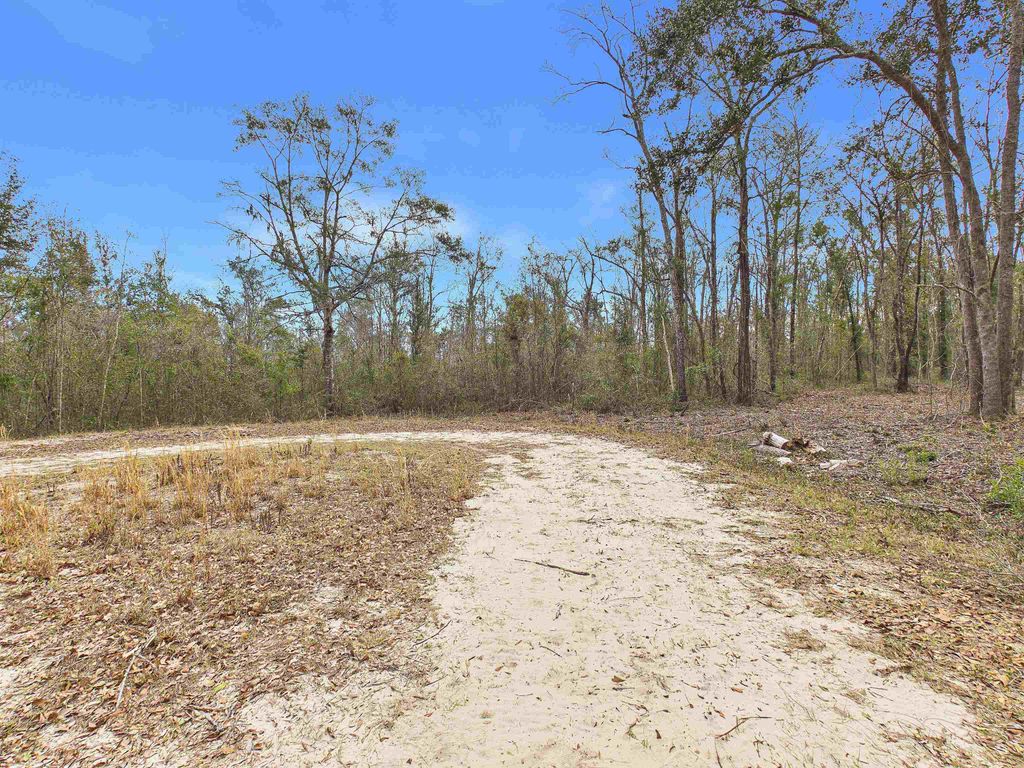 Photo of Vacant NE Bush Way, Madison, FL 32340 (MLS # 395916)