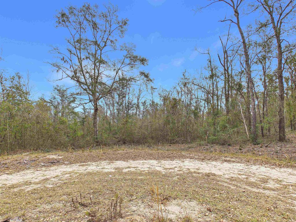 Photo of Vacant NE Bush Way, Madison, FL 32340 (MLS # 395916)