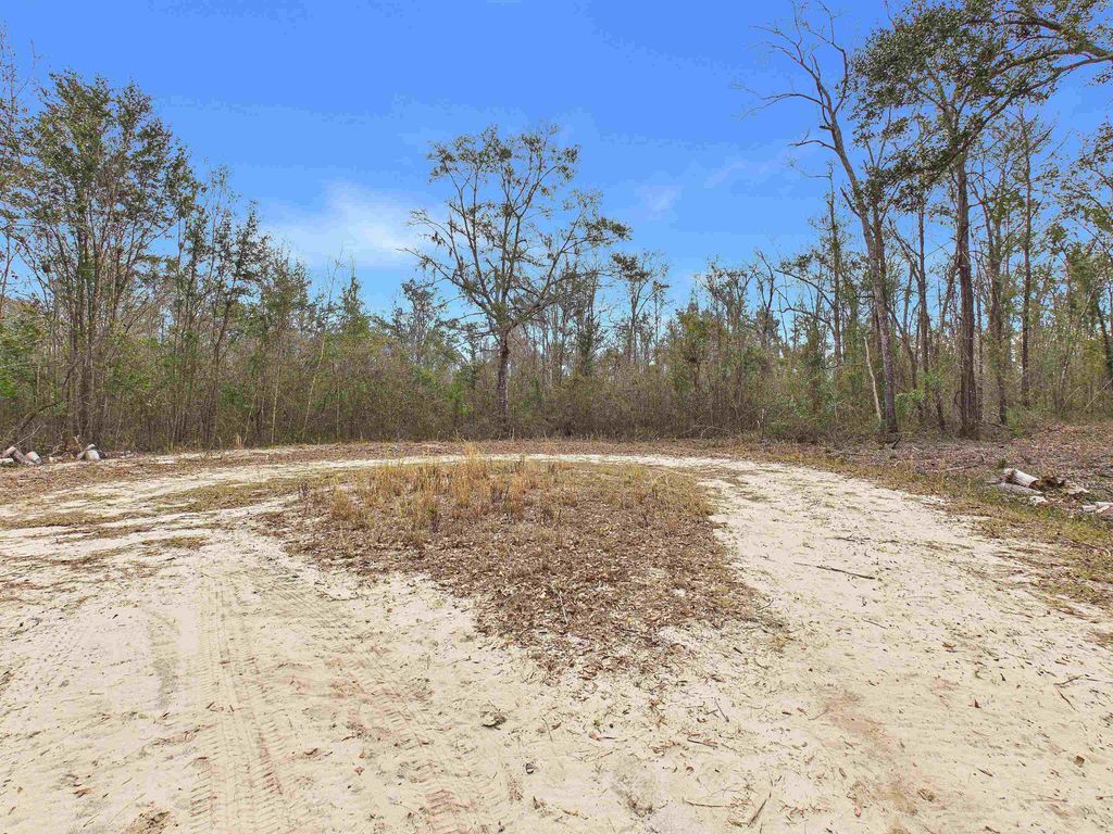Photo of Vacant NE Bush Way, Madison, FL 32340 (MLS # 395916)