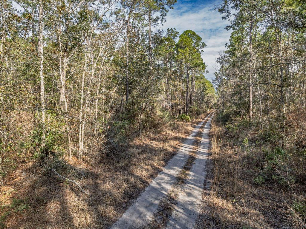 Photo of XXX Maleah Lane, Sopchoppy, FL 32358 (MLS # 395810)