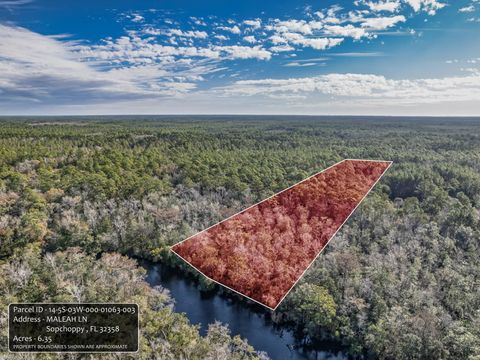 XXX Maleah Lane Sopchoppy FL 32358