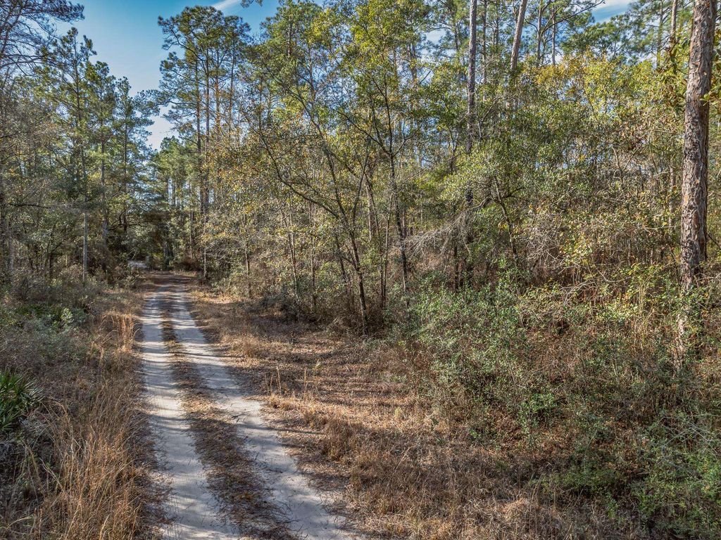Photo of XXX Maleah Lane, Sopchoppy, FL 32358 (MLS # 395810)