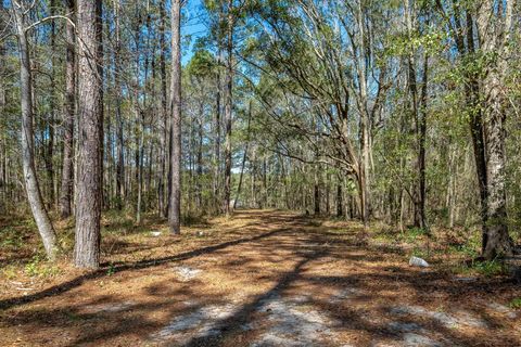 Tiny photo for 498 Heritage Boulevard, Monticello, FL 32344 (MLS # 396782)