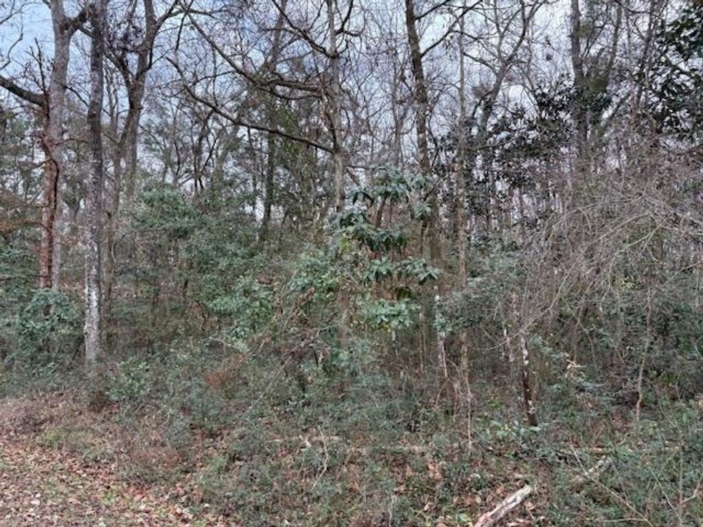 Photo of XXX Hickorywood Drive, Crawfordville, FL 32327 (MLS # 381885)