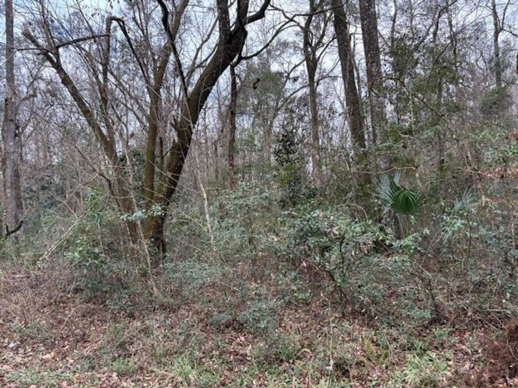 Photo of XXX Hickorywood Drive, Crawfordville, FL 32327 (MLS # 381885)