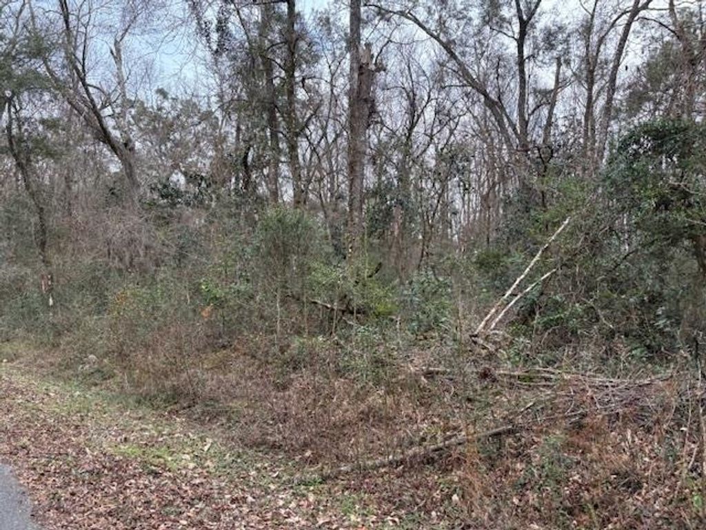 Photo of XXX Hickorywood Drive, Crawfordville, FL 32327 (MLS # 381885)