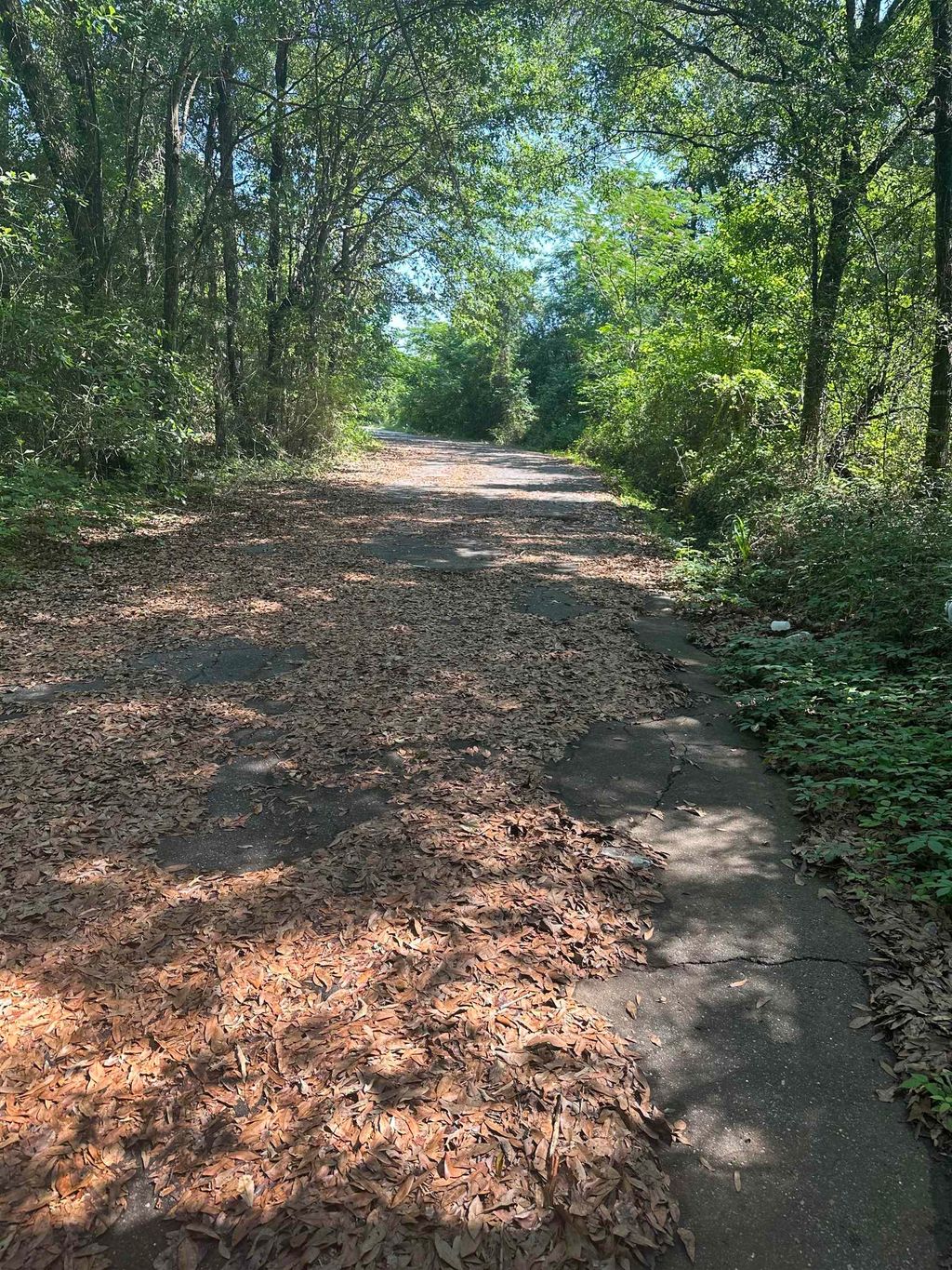 Photo of XX GOLDWIRE Road, Quincy, FL 32351 (MLS # 399915)