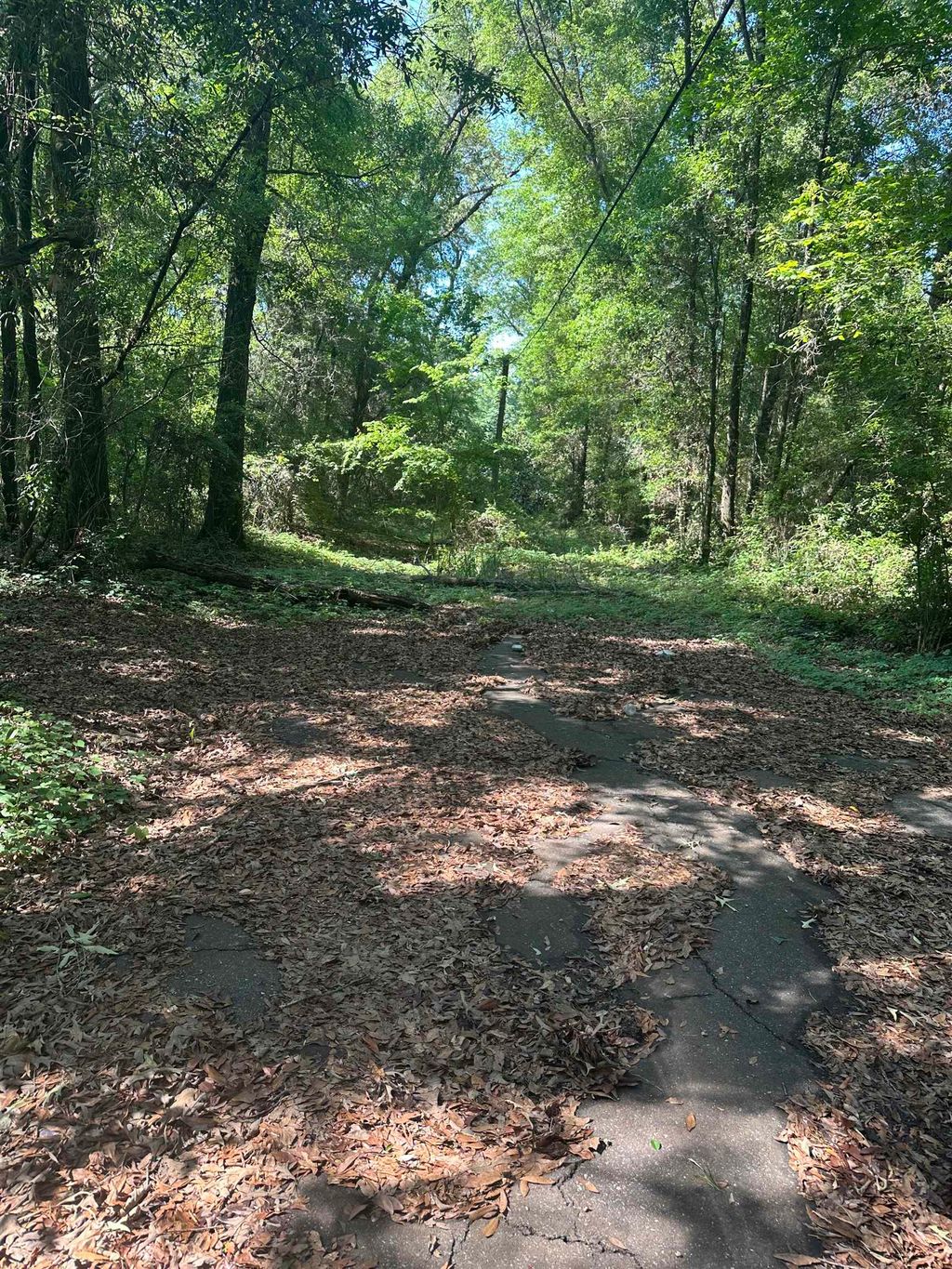 Photo of XX GOLDWIRE Road, Quincy, FL 32351 (MLS # 399915)