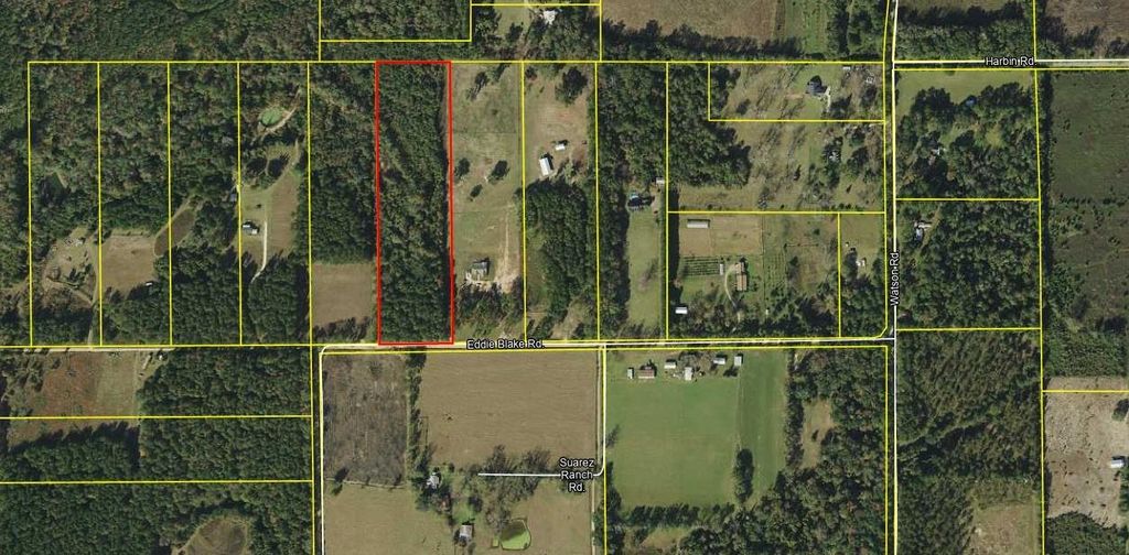 Photo of 442 Eddie Blake Road, Quincy, FL 32351 (MLS # 390494)