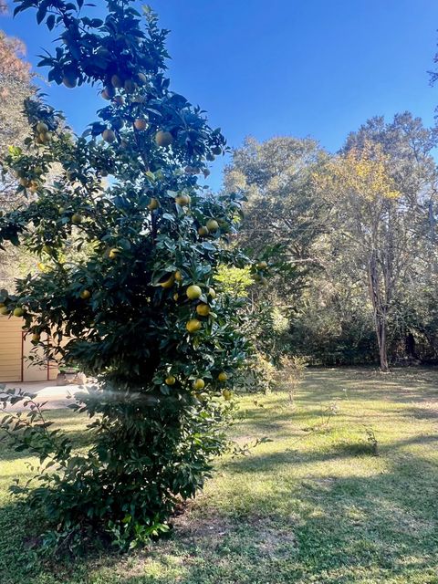 A home in Tallahassee