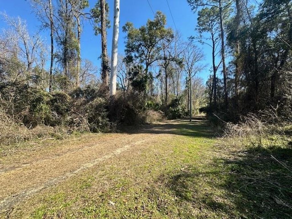 Photo of XXX Lovett Road, Crawfordville, FL 32327 (MLS # 396053)