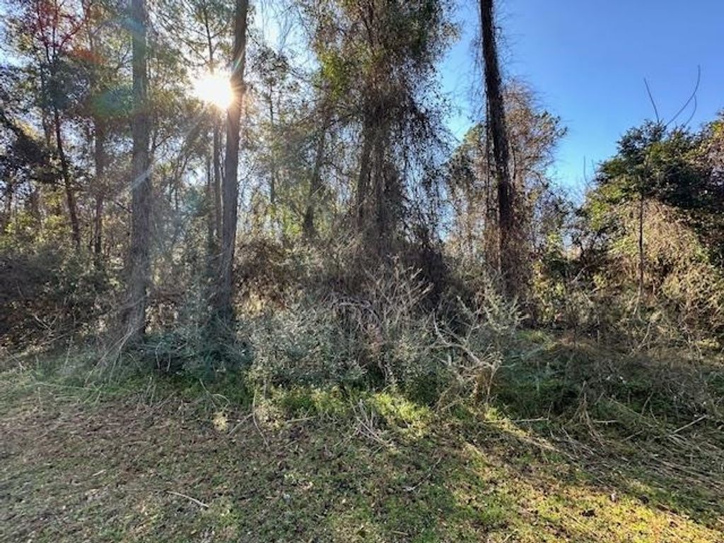 Photo of XXX Lovett Road, Crawfordville, FL 32327 (MLS # 396053)