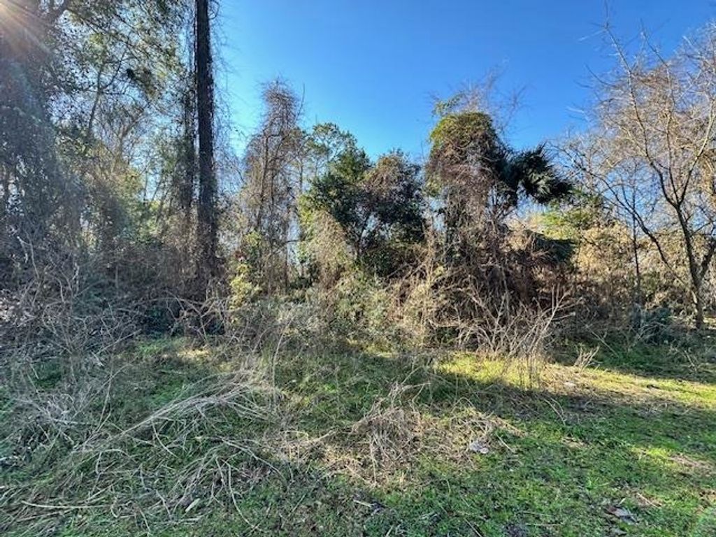 Photo of XXX Lovett Road, Crawfordville, FL 32327 (MLS # 396053)