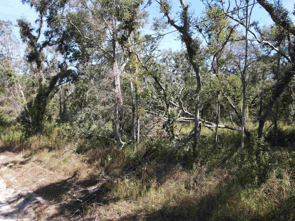 Photo of Lot 110 NW 21st Place, Jasper, FL 32052 (MLS # 392461)
