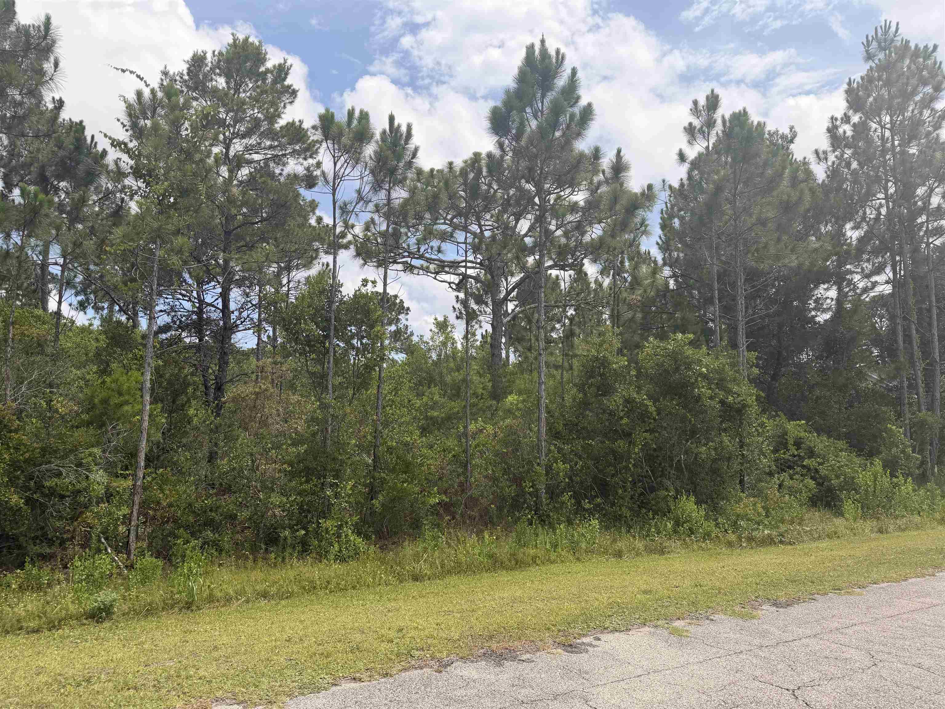 Photo 1 of 4 — 710 Timber Ridge 3 & 4, East Point, FL 32328