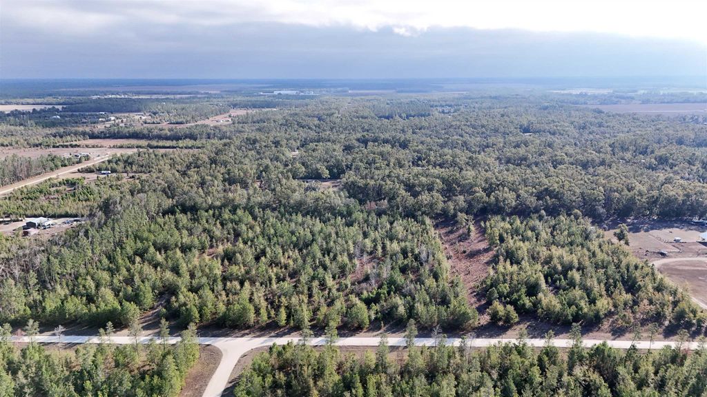 Photo of Vacant NE River Trace Trail, Lee, FL 32059 (MLS # 394568)