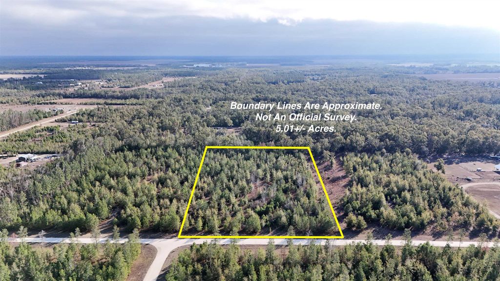 Photo of Vacant NE River Trace Trail, Lee, FL 32059 (MLS # 394568)
