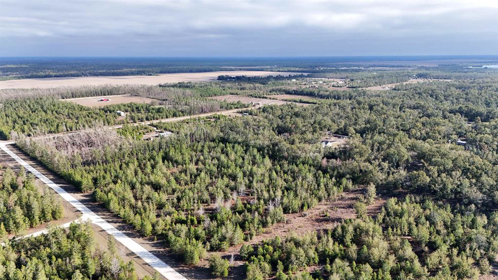 Photo of Vacant NE River Trace Trail, Lee, FL 32059 (MLS # 394568)