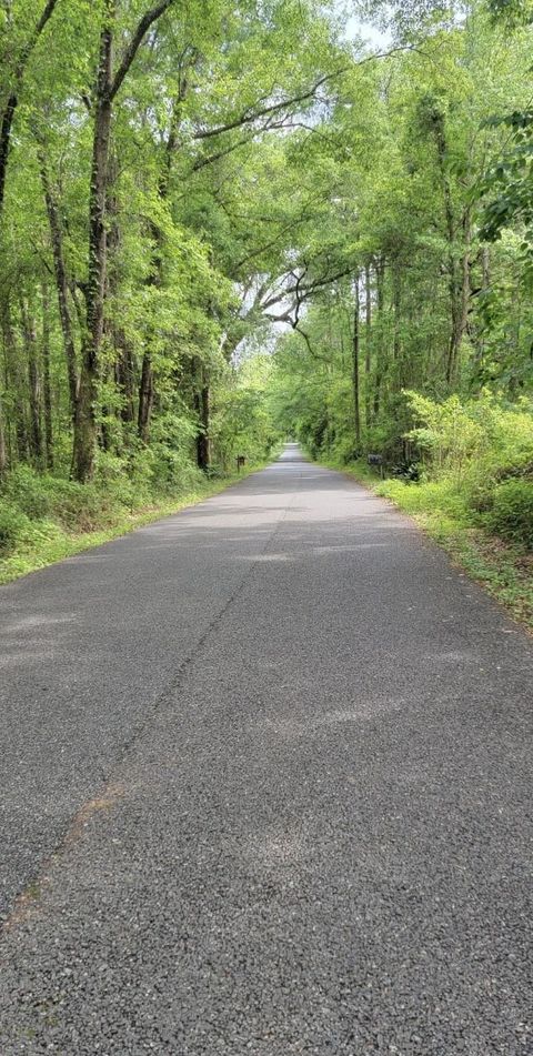 Photo of 170 Ellis Road, Tallahassee, FL 32317 (MLS # 352156)