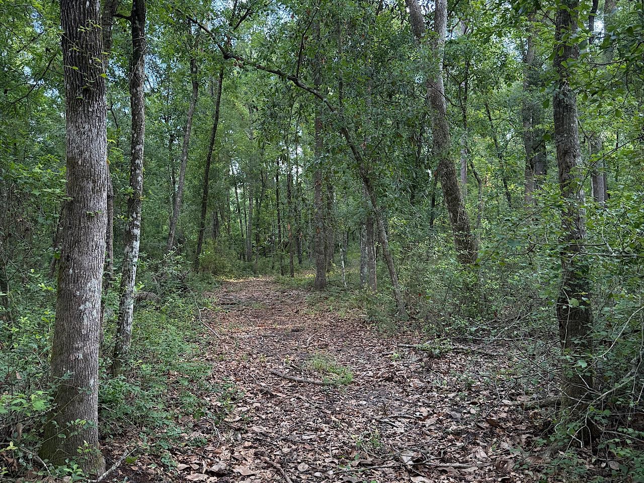 Vacant NW Circle Road