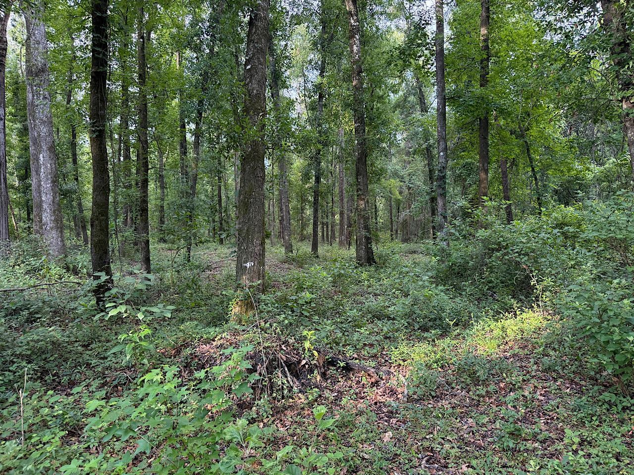 Vacant NW Circle Road