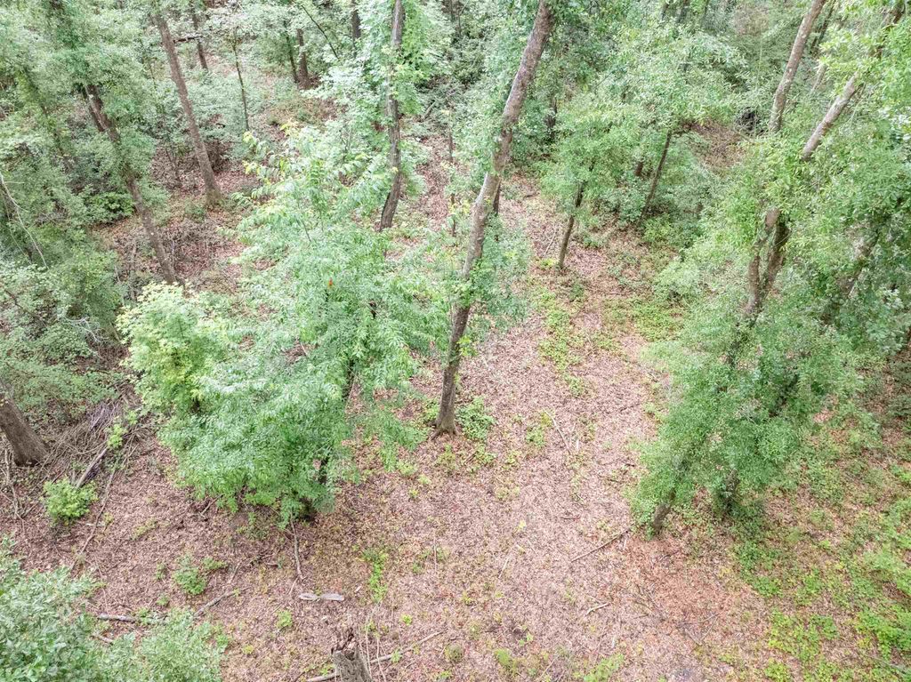 Photo of Vacant NW Circle Road, Madison, FL 32340 (MLS # 402323)