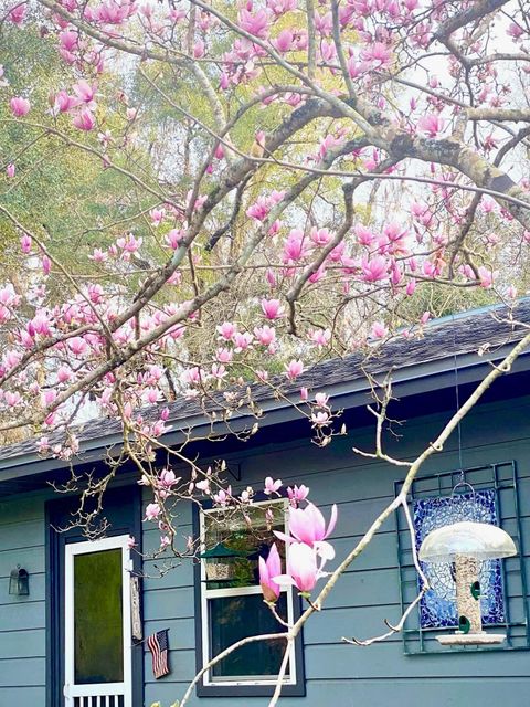 Tiny photo for 1510 TWIN LAKES Circle #--, Tallahassee, FL 32311 (MLS # 402049)