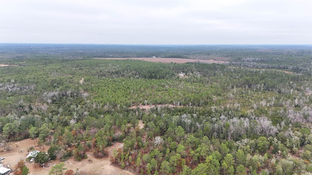 Photo of Vacant Joshua Road, Marianna, FL 32448 (MLS # 393837)