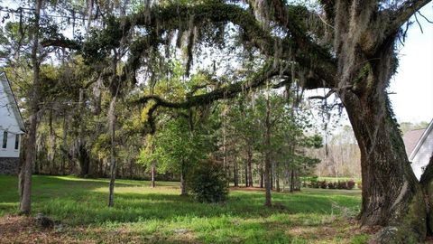 Tiny photo for Scarlet Sage Way, Tallahassee, FL 32311 (MLS # 394458)