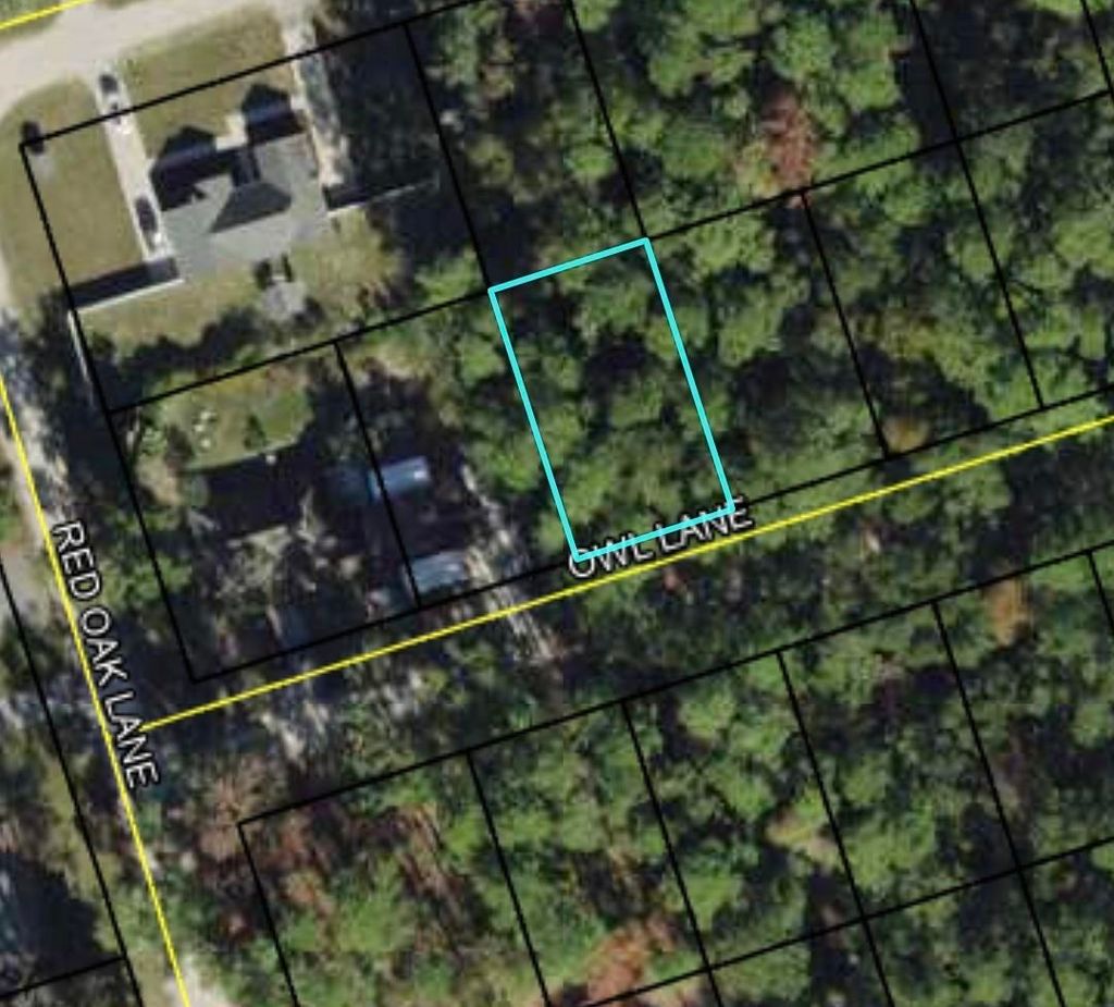Photo of Lot 58 Owl Lane, Crawfordville, FL 32327 (MLS # 393404)