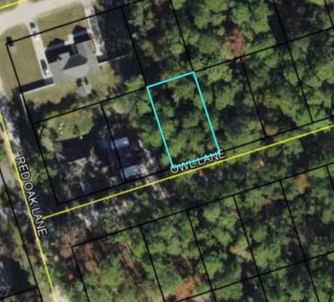 Lot 58 Owl Lane Crawfordville FL 32327