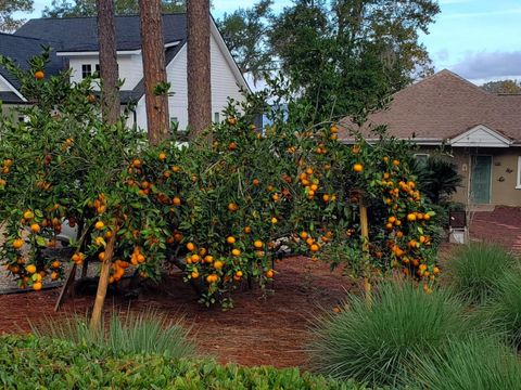 Tiny photo for 24272 Lanier Street, Tallahassee, FL 32310 (MLS # 393336)