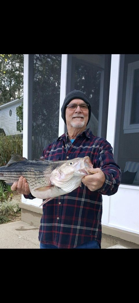 Tiny photo for 24272 Lanier Street, Tallahassee, FL 32310 (MLS # 393336)